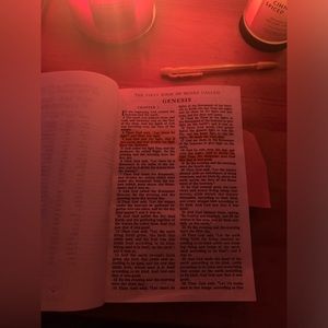 Meet your Posher, Angelica